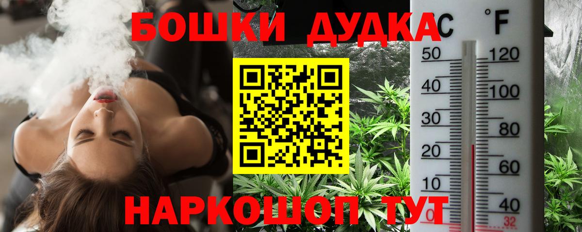 Якутск  Бошки марихуана планчик  Конопля планчик  Вход с VPN  Бошки Шишки марихуана 